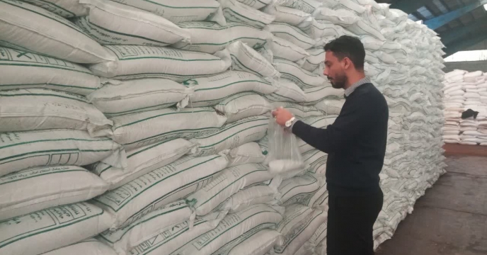 مدیر شرکت خدمات حمایتی گیلان: کودهای توزیع شده رشد محصولات و بهره‌وری را افزایش می‌دهند