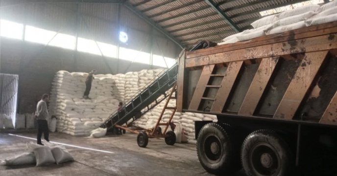 حسن همتی خبر داد: توزیع کود برای ارتقای بهره‌وری باغات گیلان