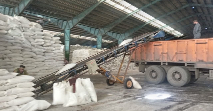 حسن همتی: کوددهی منظم باعث محصولات با کیفیت و پایدار در لاهیجان می‌شود