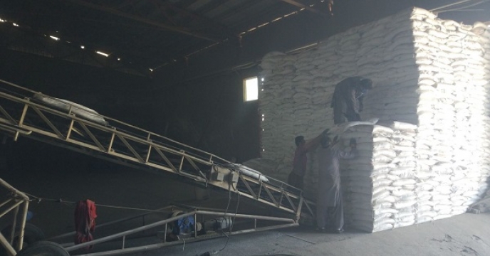 مقدار 2727 تن کودهای کشاورزی بین کشاورزان شهرستان خاش توزیع شد 