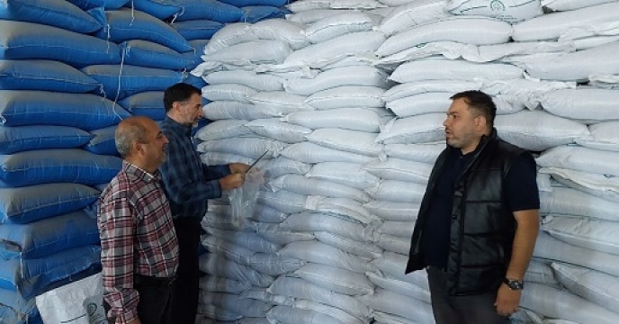 نمونه برداری از کود سولفات پتاسیم در انبار سازمانی شرکت خدمات حمایتی کشاورزی استان سیستان وبلوچستان 