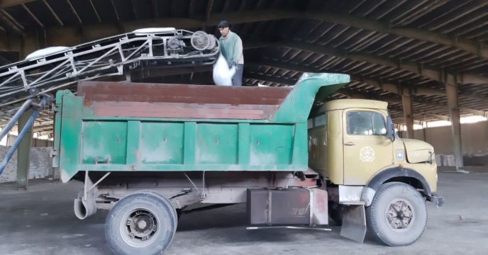 کشاورزان شهرستان پاوه 6 تن کود کشاورزی سولفات پتاسیم گرانوله دریافت کردند