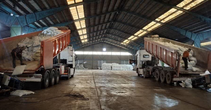 مدیر شرکت خدمات حمایتی کشاورزی گیلان: کود مورد نیاز کشاورزان آستانه‌اشرفیه تأمین شد