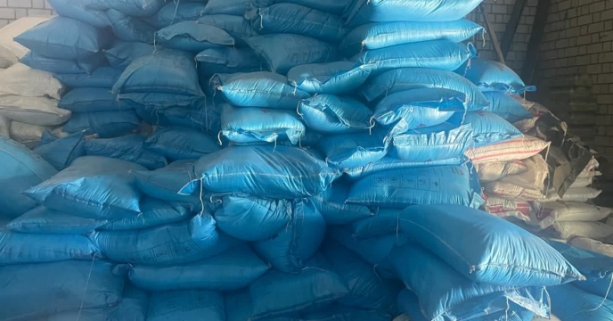 حسن همتی خبر داد: حمایت از پرورشدهندگان با توزیع گسترده کود استخر ماهی