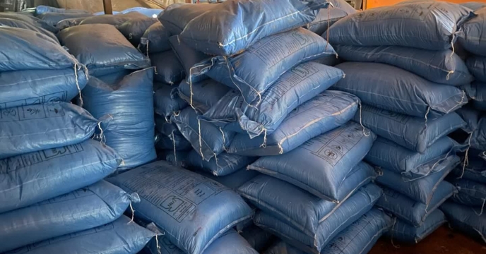 نظارت و بررسی کارشناسان شرکت خدمات حمایتی کشاورزی استان گیلان از شرکت تعاونی شهاب،خانقاهی و کچلام در منطقه شرق استان گیلان