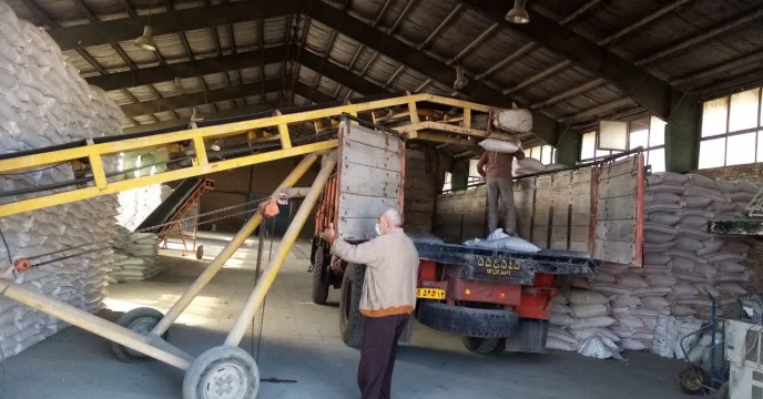 ارسال 20 تن انواع کود کشاورزی به کارگزاری های شهرستان بجنورد ارسال 20 تن انواع کود کشاورزی به کارگزاری های شهرستان بجنورد