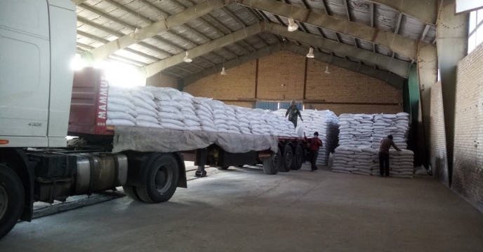 تلاش موثر مدیریت به ثمر نشست، تخلیه 200تن کود سولفات پتاسیم درانبارها موجبات رضایت و خوشحالی کشاورزان رافراهم کرد 