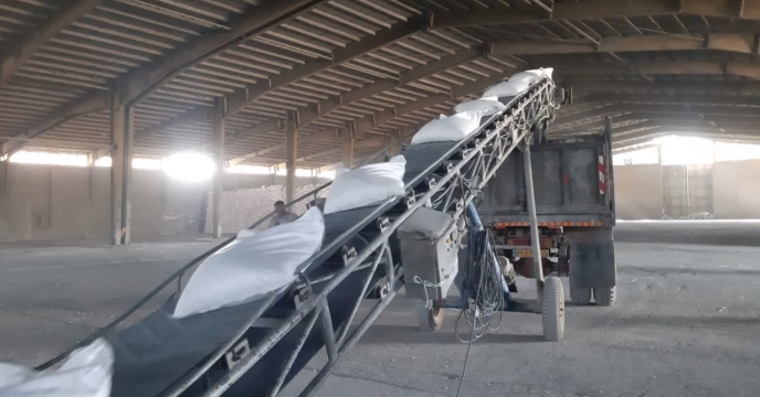 کشاورزان شهرستان قصرشیرین 55تن کود کشاورزی سوپرفسفات ساده دریافت کردند 