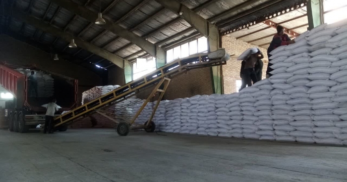 تأمین نهاده‌ها ​تعهد به کشاورزان عملی شد: تخلیه ۲۰۰ تن کود کلرور پتاس در انبار های سازمانی شرکت خدمات حمایتی خراسان شمالی