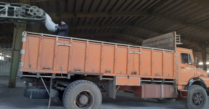 تامین وتوزیع325 تن کود کشاورزی اوره در شهرستان اسلام ثلاث بابا جانی