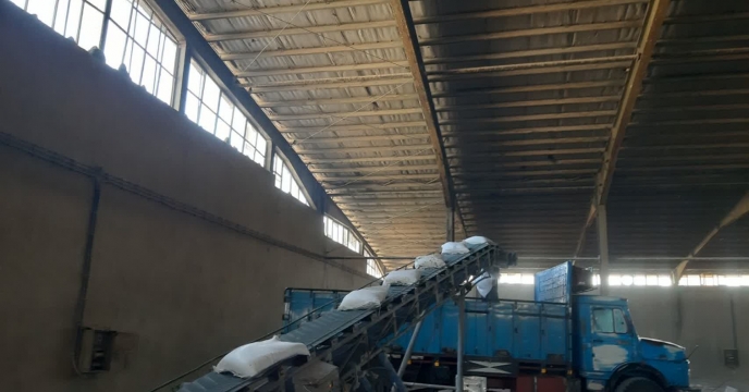 میزان 60 تن کود کشاورزی سولفات پتاسیم در شهرستان سرپل ذهاب تامین و توزیع شد