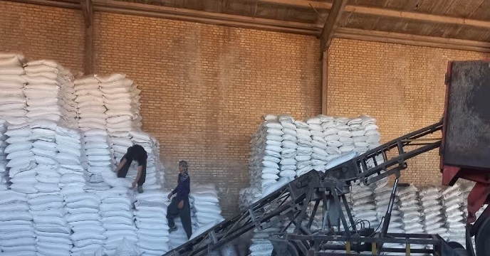 میزان 375تن انواع کودهای کشاورزی دربین کشاورزان شهرستان دزپارت توزیع شد