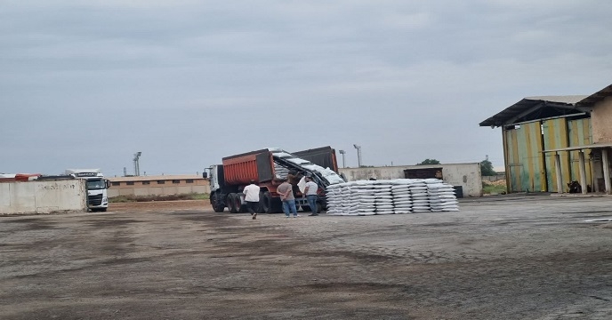  توزیع مقدار 300 تن کود کشاورزی پتاس به کشاورزان شهرستان دزفول