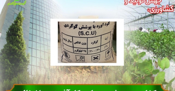 ترویج  و توزیع کود  اوره با پوشش  گوگردی  رادر برنامه  کاری شرکت خدمات حمایتی کشاورزی استان گلستان