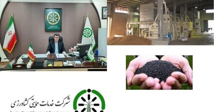 افزایش تولید بذر و تهمیدات لازم در صنعت فرآوری بذر کلزا شرکت خدمات حمایتی کشاورزی استان گلستان