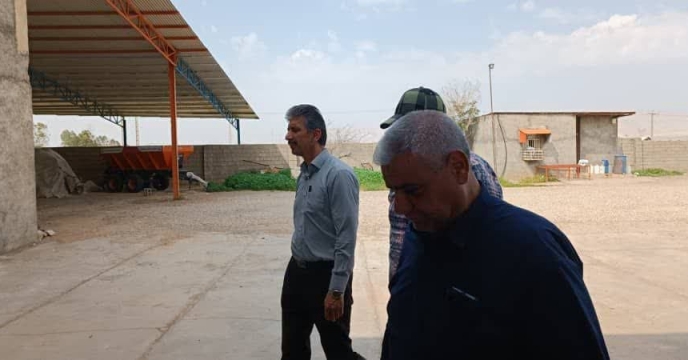 سرپرست شرکت خدمات حمایتی کشاورزی استان ایلام از انبار سازمانی مهران بازدید نمود