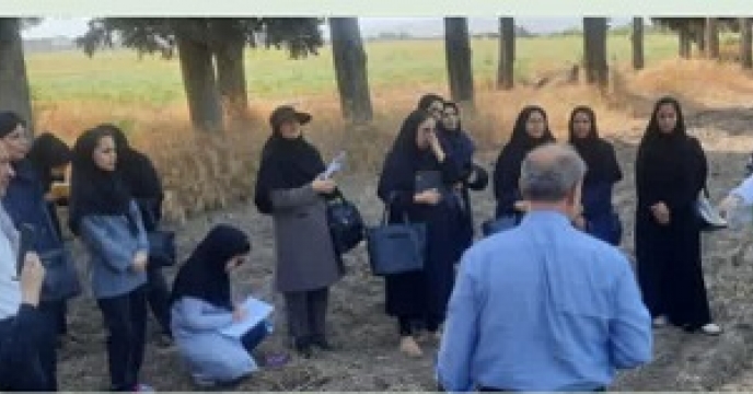حضور کارشناس فنی شرکت خدمات حمایتی کشاورزی استان گلستان در روز انتقال یافته های «کشت ماش در کاه و کلش در گلستان