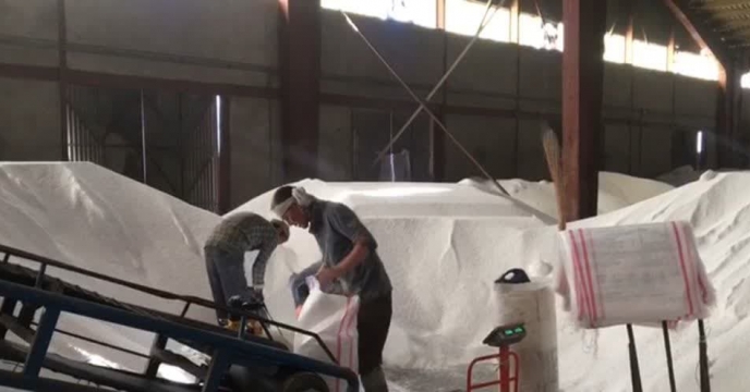 کشاورزان گلستانی برای مزارع شبدر ، مقدار 39 تن کود مصرف کردند