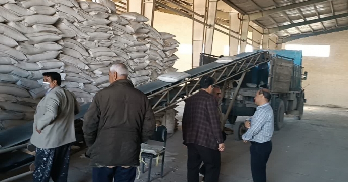 پاسخ به نیاز کشت‌های زراعی اشکذر با توزیع ۷۳ تن کود کشاورزی