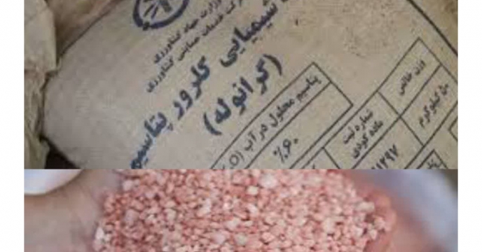 کود دهی هدفمند و امنیت غذایی پایدار با تامین 620 تن کود پتاس در آذر ماه سال جاری
