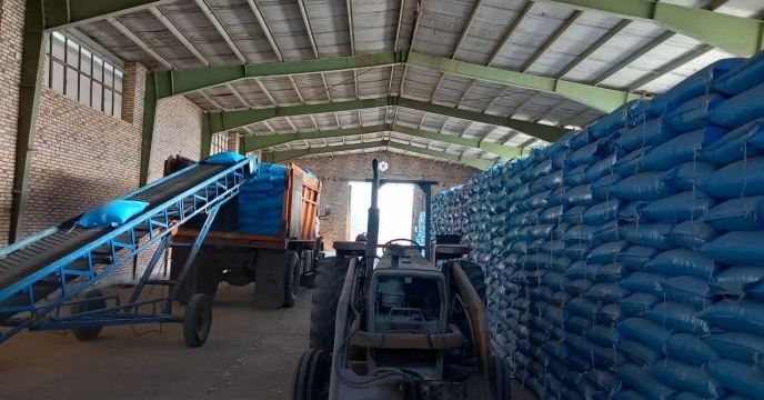 تامین، تدارک و توزیع بیش از 18500 تن انواع کودهای یارانه ای طی یک سال گذشته در استان قم