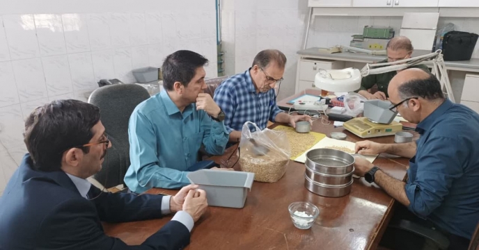 بررسی و‌معاینه‌کیفی بذر با نظارت کارشناسان فنی بذر شرکت خدمات حمایتی کشاورزی استان گلستان