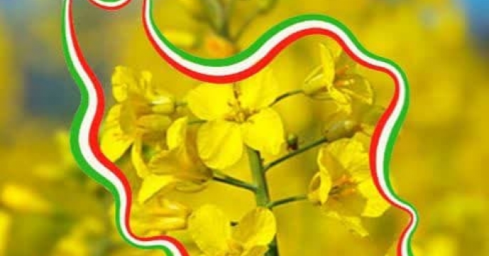 توزیع مقدار47 تن انواع کود کشاورزی یارانه ای از طریق سامانه پایش مواد کودی برای محصول کشاورزان کلزا کار شهرستان مینودشت در سه ماهه سال جاری 