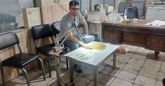 نمونه گیری از بذر میهن گواهی شده در شهرستان شاهرود