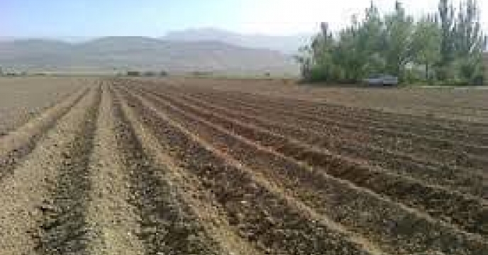 توزیع  مقدار۳۵ تن کود کشاورزی یارانه ای اوره برای  کشاورزان عدس کار شهرستان مینودشت در خرداد ماه سال۱۴۰۴