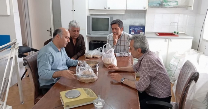 بازرسی ونمونه برداری از بذر گندم به منظور مانیتورینگ و‌کنترل آفات انباری در انبار قرق گلستان