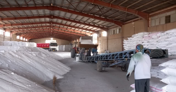 توزیع نهاده کشاورزی بین انبار کارگزاران شهرستان قم از ابتدای سال جاری
