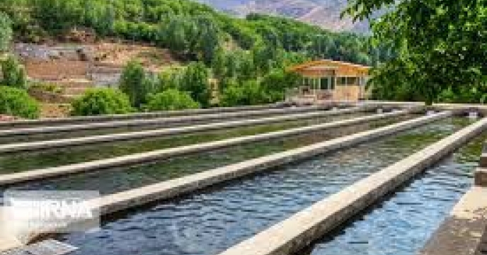 توزیع  مقدار15 تن  انواع کود کشاورزی یارانه ای  برای مزارع پرورشی ماهیان کپور شهرستان آزادشهر درشش ماهه سال۱۴۰۴