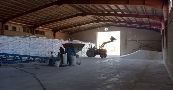 قم در کشت اول آبی، ۳۸۰ تن ازت برای ذرت و ۳۸۶ تن برای یونجه اختصاص داد