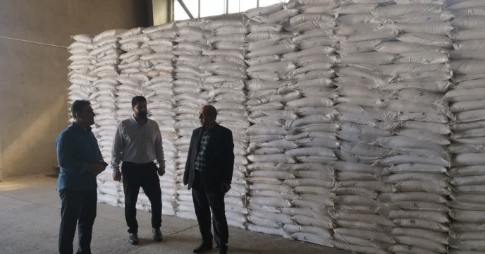بازدید مدیر شرکت خدمات حمایتی کشاورزی استان کردستان از انبارهای سازمانی استان به مناسبت هفته دولت