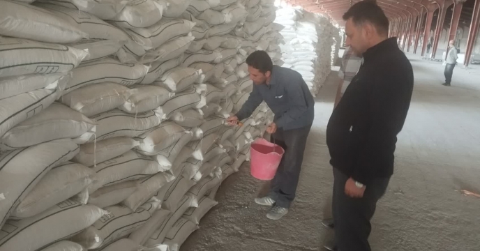 نمونه برداری از کود سولفات پتاسیم در انبار 30 هزار تنی شرکت خدمات حمایتی کشاورزی استان آذربایجان شرقی