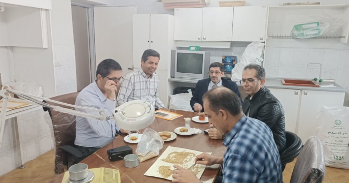 بازدید مدیر شرکت خدمات حمایتی کشاورزی استان گلستان از روند بوجاری بذر گندم