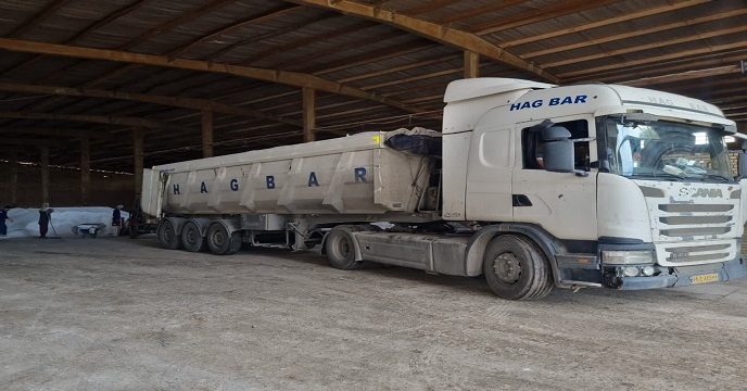 بیش از 775تن انواع کود کشاورزی (اوره،فسفات و پتاس)در شهرستان اهواز توزیع گردید