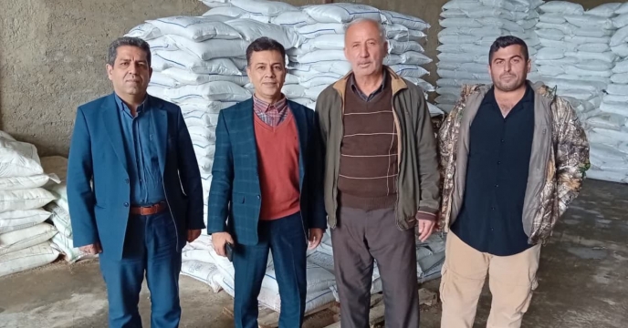  بازدید مدیر شرکت خدمات حمایتی کشاورزی استان گلستان در  معیت مدیر جهاد کشاورزی  شهرستان کردکوی از کارگزاری شهرستان کردکوی 
