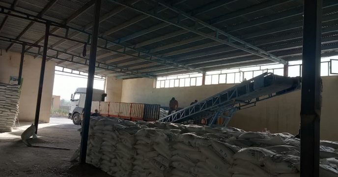 توزیع 80 تن انواع کودهای فسفات و پتاس از ابتدای سالجاری در استان قم