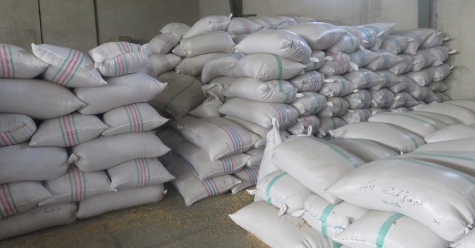 پیش بینی تولید یک میلیون و430 هزار تن شلتوک برنج در مازندران