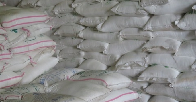 تامین کود برای 7000 هکتار مزارع گندم در گلوگاه مازندران