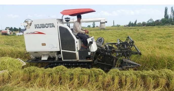 تامین کود برای 7700 هکتار کشت مکانیزه برنج در میاندورود