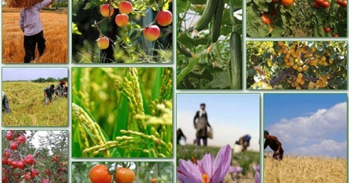 صادرات 415هزار تن محصولات کشاورزی از مازندران