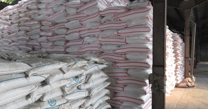 تامین و توزیع11500 تن کود اوره برای محصولات زراعی و باغی در آمل