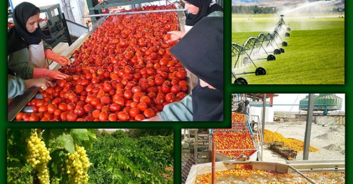 افزایش صادرات محصولات کشاورزی در خراسان شمالی