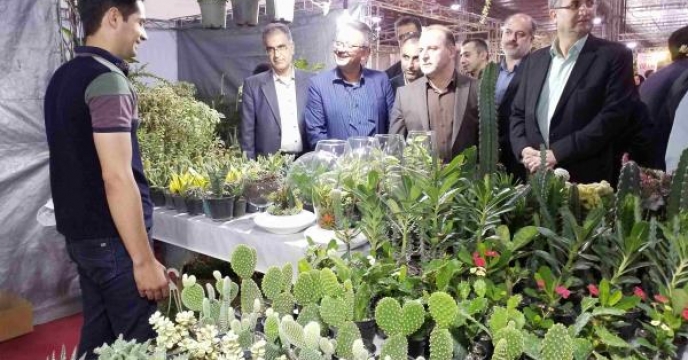 صادرات 4میلیون اصله گل و گیاه از مازندران به خارج