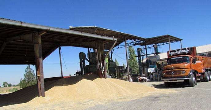 سامانه بوجاری شرکت خدمات حمایتی کشاورزی استان همدان به صورت استیجاری واگذار شد.