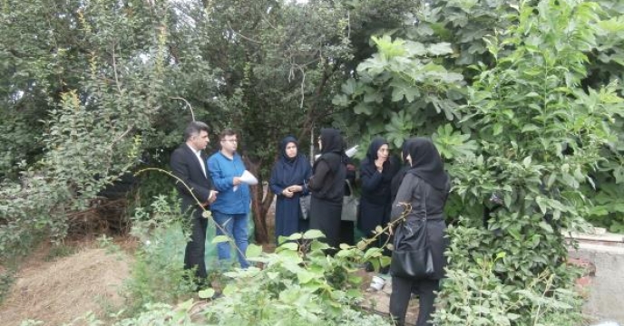 طرح های تولید صندوق زنان روستایی در استان مازندران