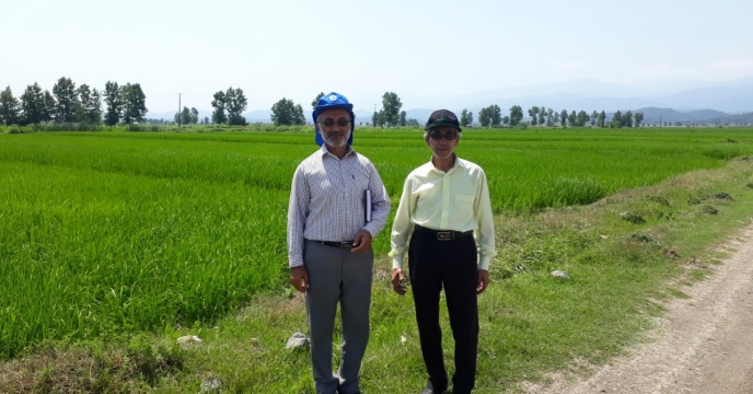 برگزاری 43 بازدید میدانی از مزرعه در مازندران