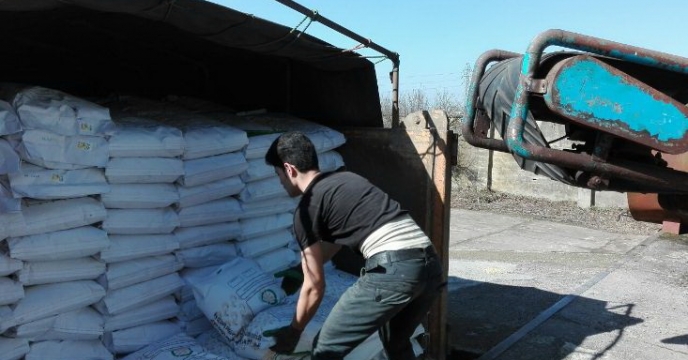 توزیع 800 تن بذر برنج